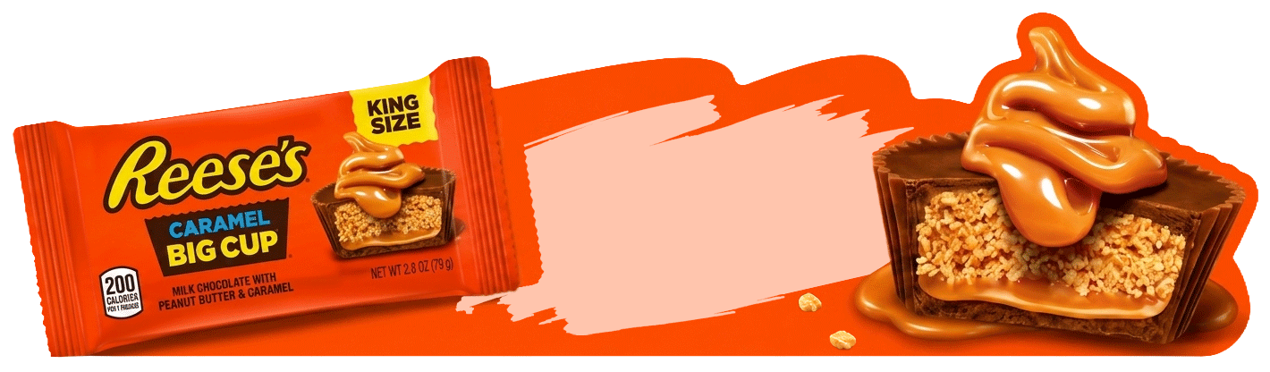 epaper-Digital-shelf-talker-for-Reeses
